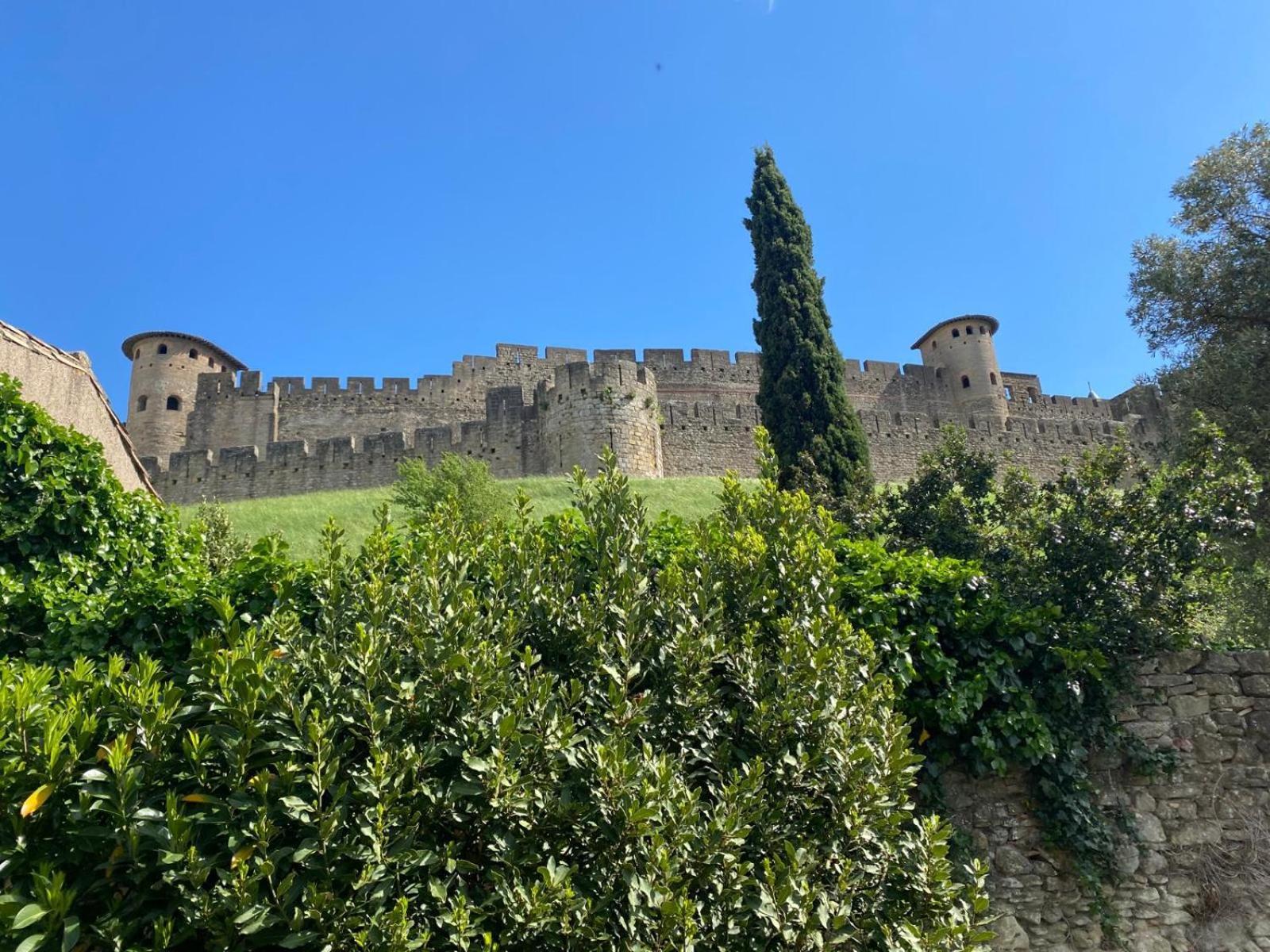 Les Chemins De La Cite Ou Holiday home Carcassonne